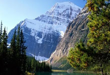  ac米兰转会一览表 